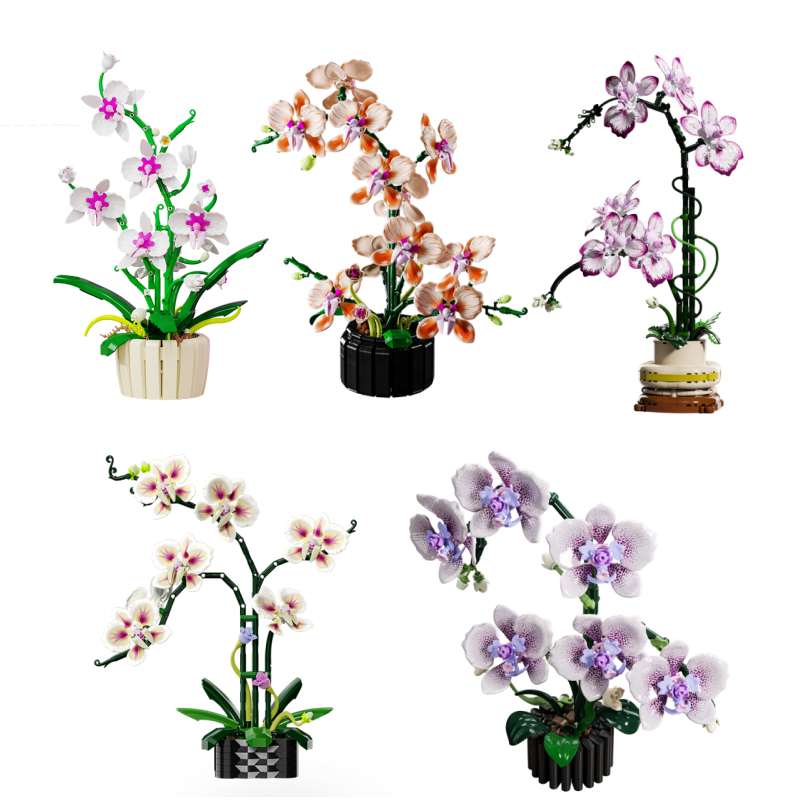 Orchid Potting Mix - NEW Creative Orchid Bouquet Set Eternal