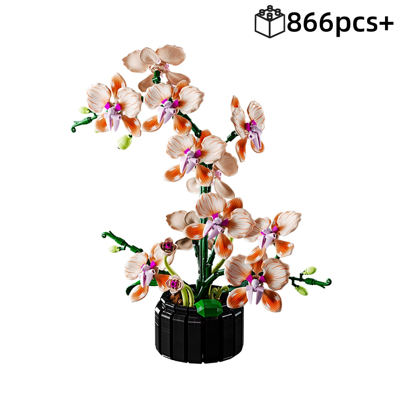 NEW Creative Orchid Bouquet Se - Orchid Potting Mix reseña y precio