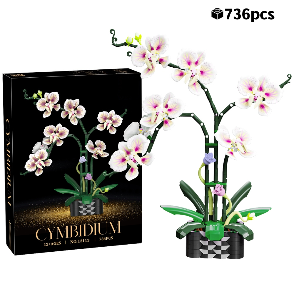 NEW Creative Orchid Bouquet Se - Orchid Potting Mix reseña y precio