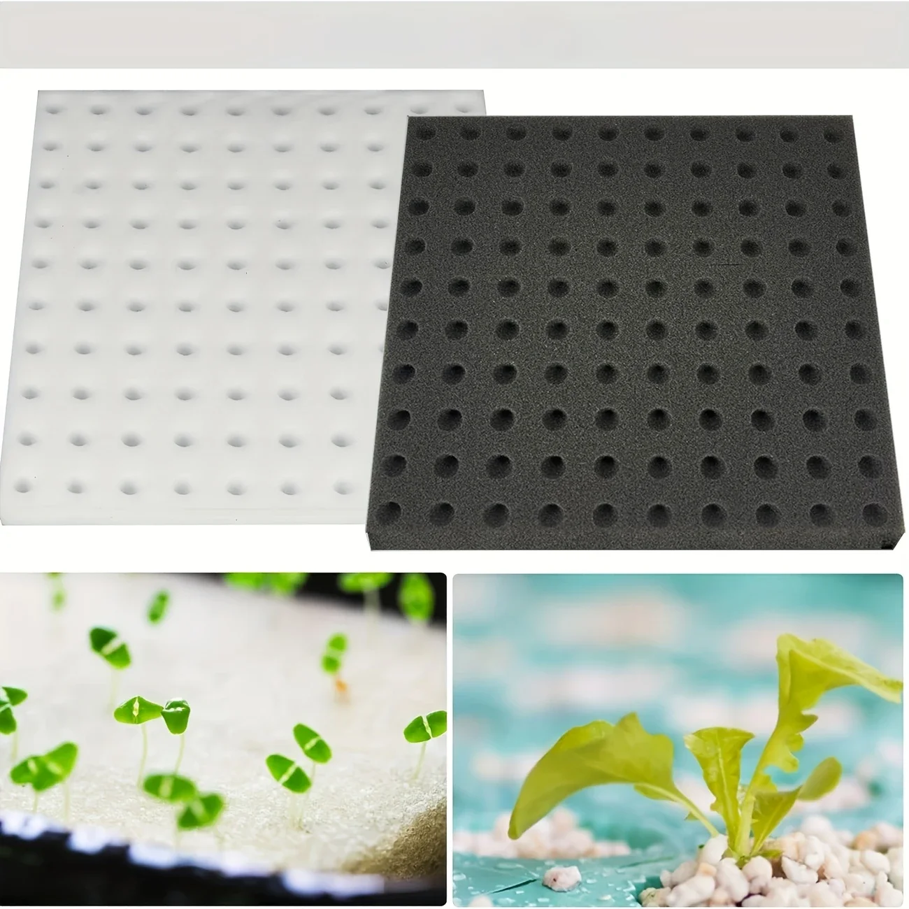 Greenhouse Sponge Vegetable Bu - Gardening Tools Wholesale reseña y precio