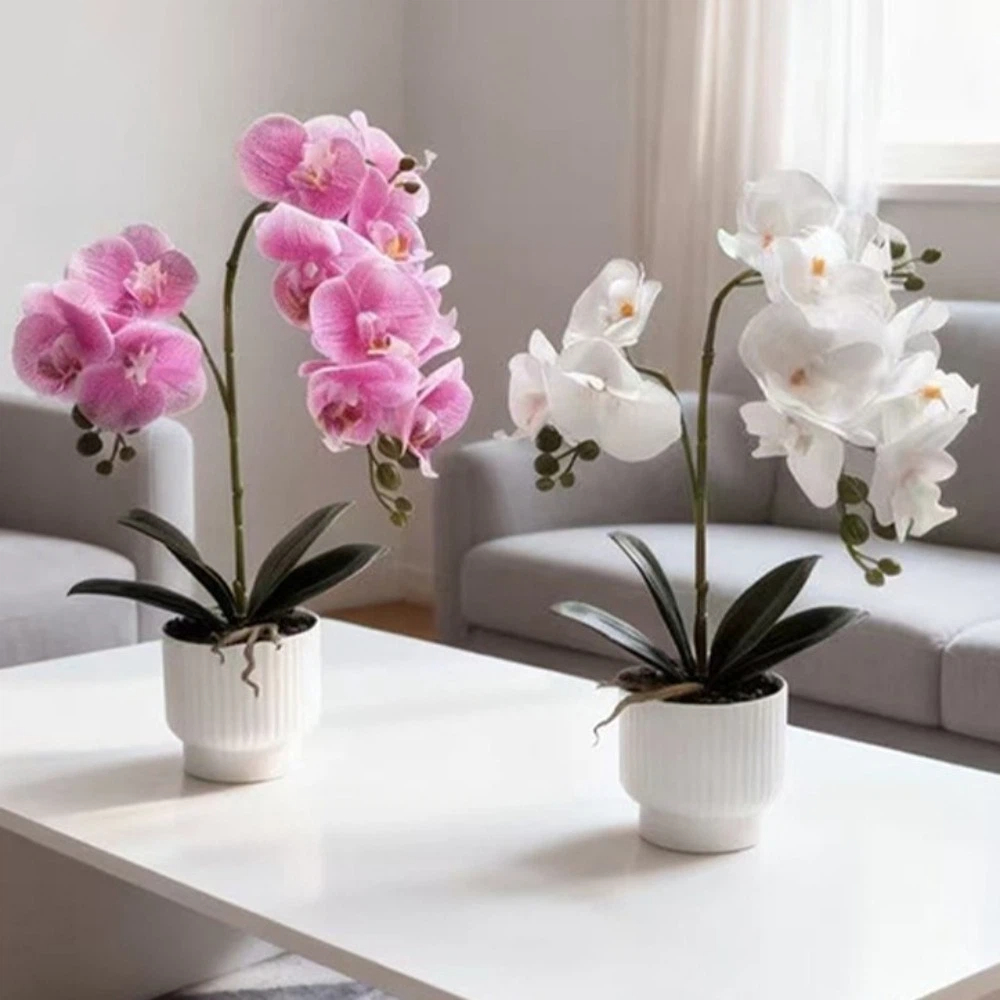 Multi-Bloom Simulated Butterfl - Orchid Potting Mix reseña y precio