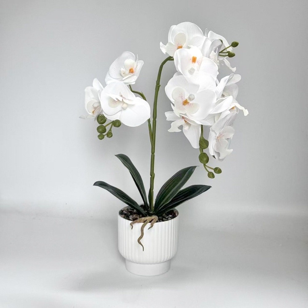 Multi-Bloom Simulated Butterfl - Orchid Potting Mix reseña y precio