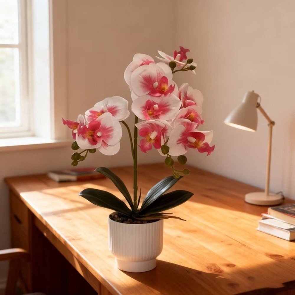 Multi-Bloom Simulated Butterfl - Orchid Potting Mix reseña y precio