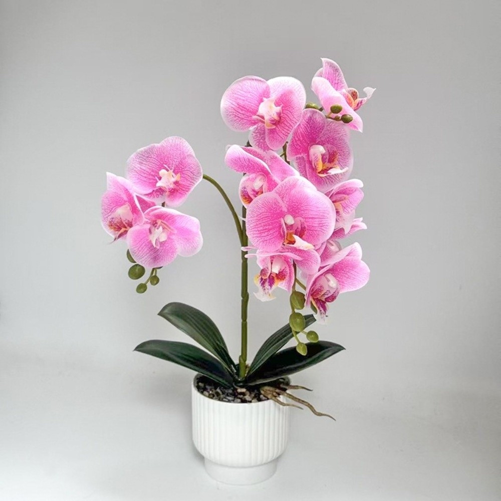 Multi-Bloom Simulated Butterfl - Orchid Potting Mix reseña y precio