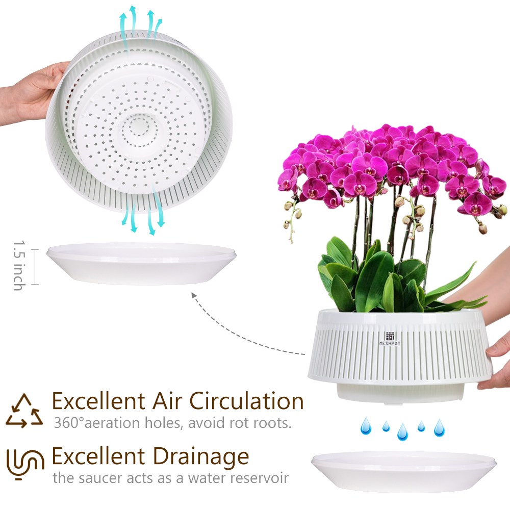 Orchid Pot with Holes & Saucer - Orchid Potting Mix reseña y precio