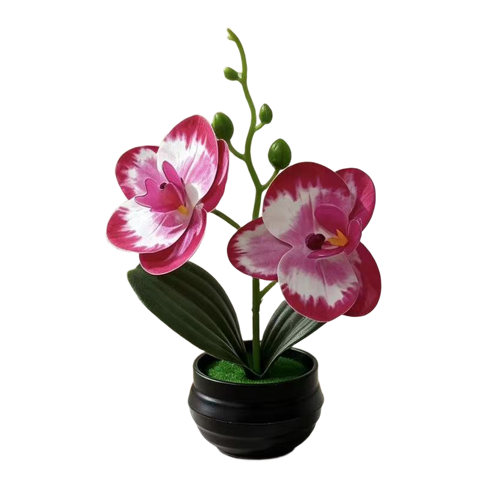 Artificial Orchid Plant with L - Orchid Potting Mix reseña y precio