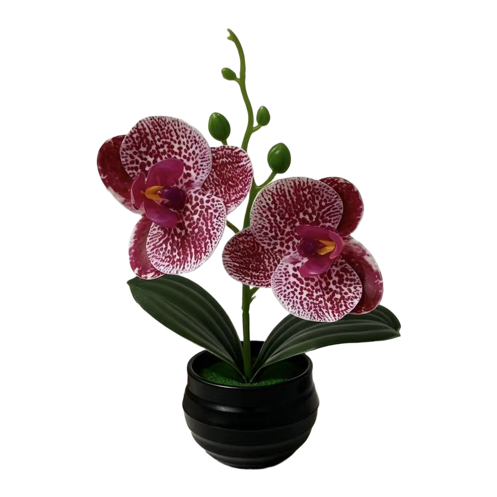 Artificial Orchid Plant with L - Orchid Potting Mix reseña y precio