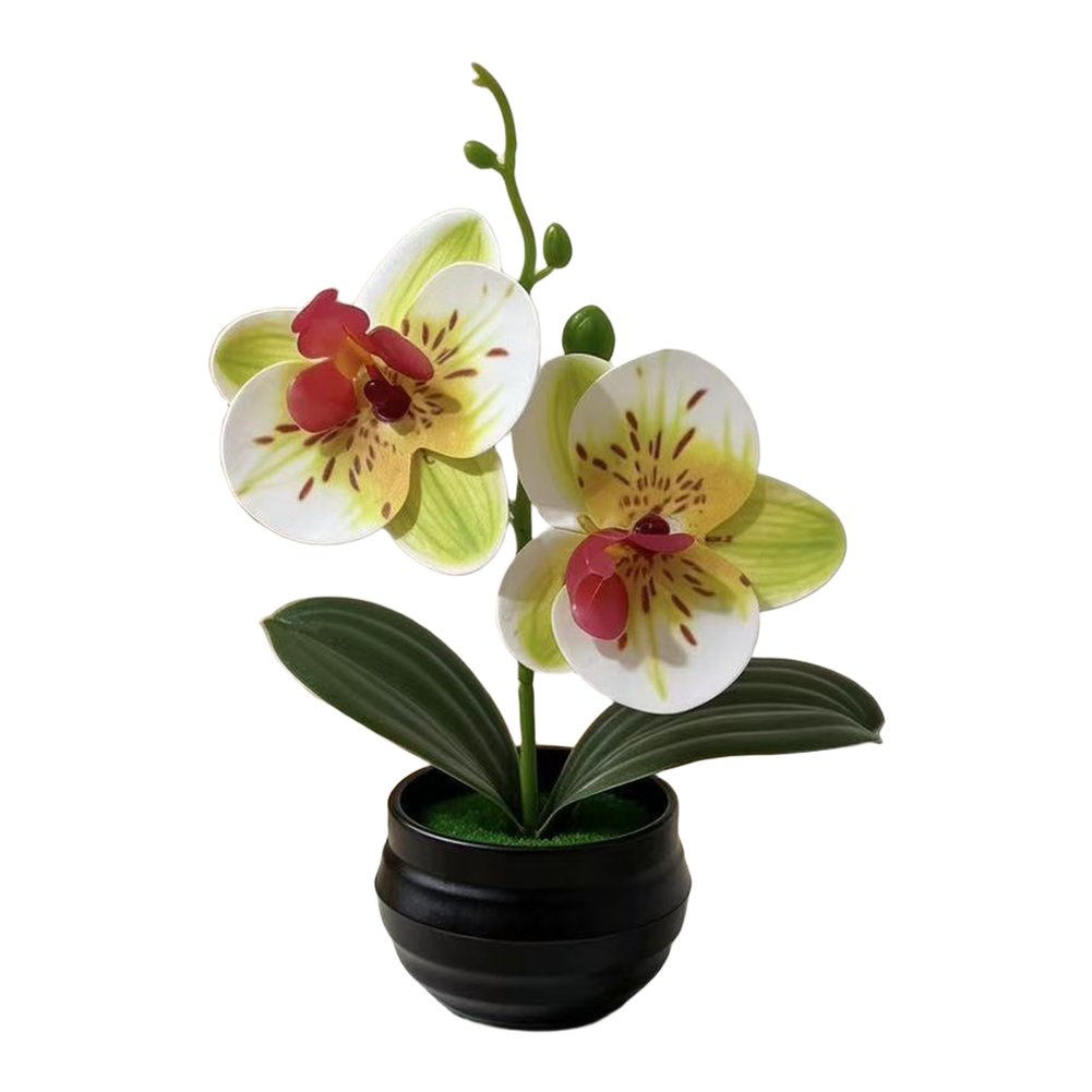Artificial Orchid Plant with L - Orchid Potting Mix reseña y precio