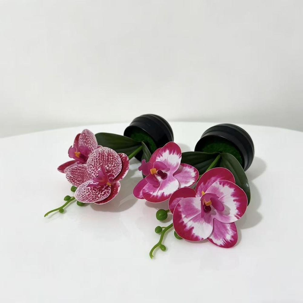Artificial Orchid Plant with L - Orchid Potting Mix reseña y precio