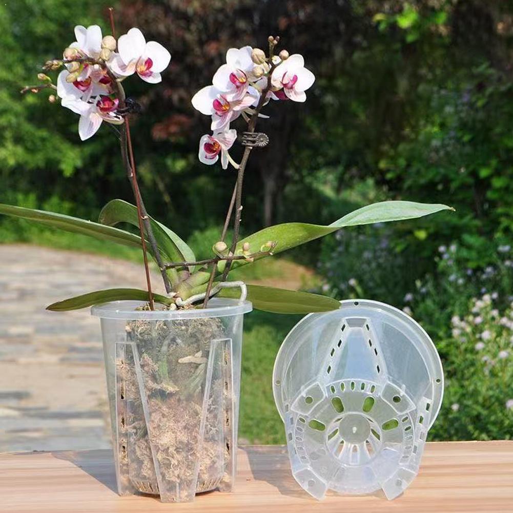 Plastic Root Control Transpare - Orchid Potting Mix reseña y precio