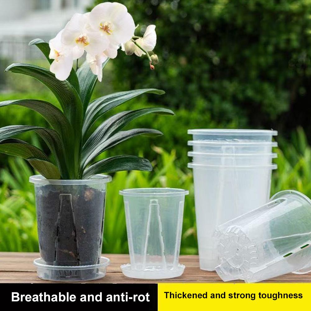 Plastic Root Control Transpare - Orchid Potting Mix reseña y precio