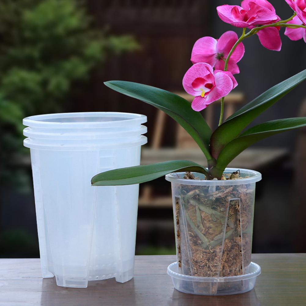 Plastic Root Control Transpare - Orchid Potting Mix reseña y precio