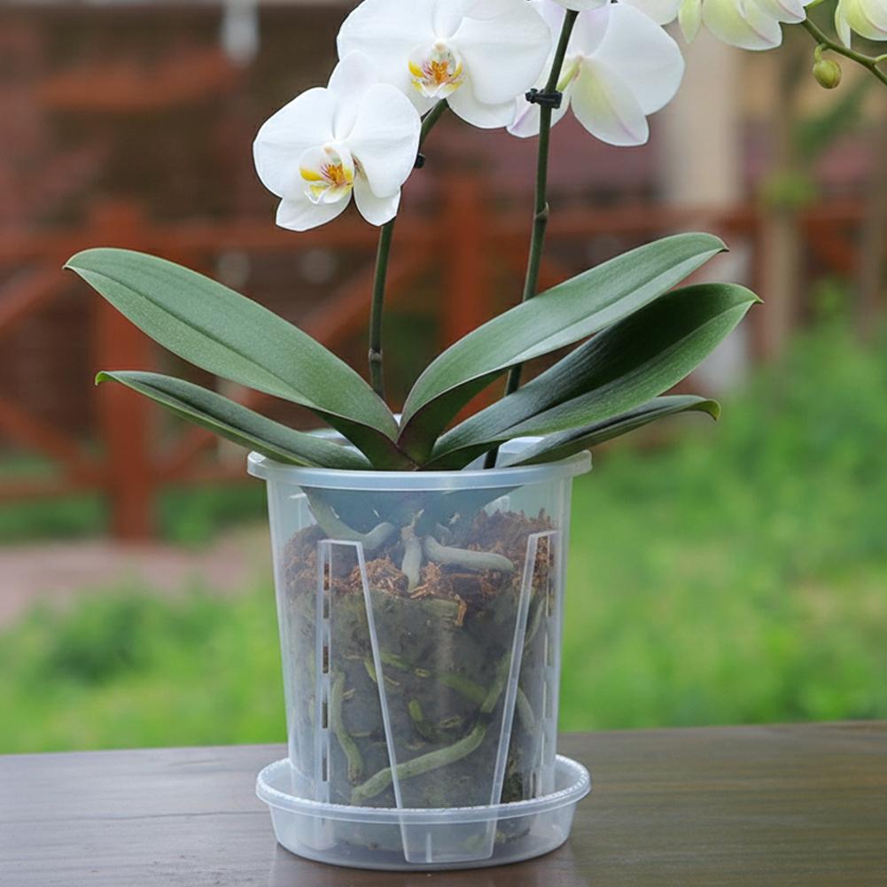 Plastic Root Control Transpare - Orchid Potting Mix reseña y precio