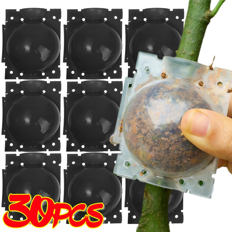 Reusable Plant Rooting Ball Gr - Gardening Tools Organiser reseña y precio