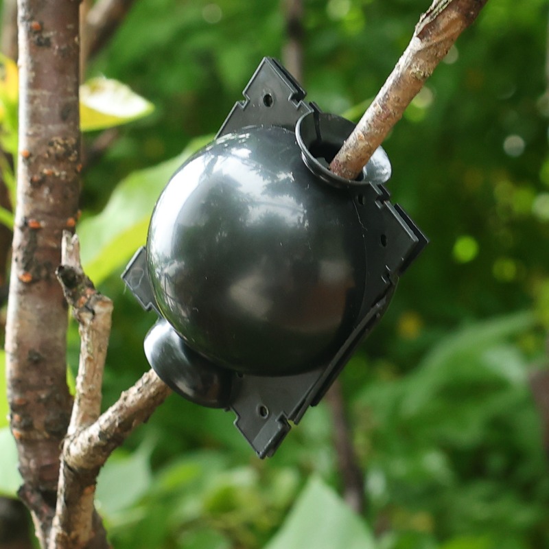 Reusable Plant Rooting Ball Gr - Gardening Tools Organiser reseña y precio