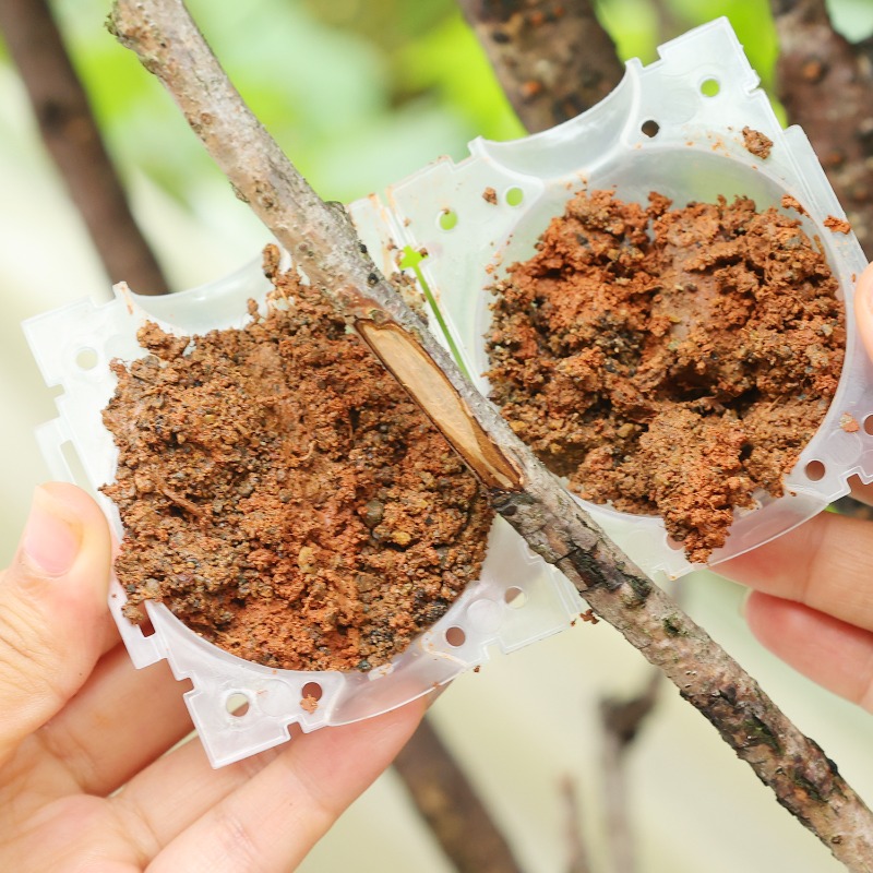 Reusable Plant Rooting Ball Gr - Gardening Tools Organiser reseña y precio