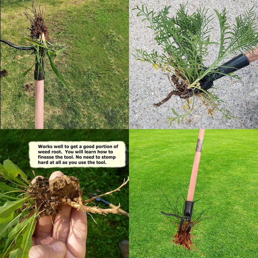 Stand Up Weed Puller Tool Deta - Grass Seed Spreader reseña y precio