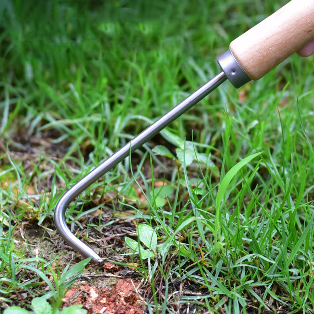 1PC Single Claw Hook Soil Loos - Grass Seed Spreader reseña y precio