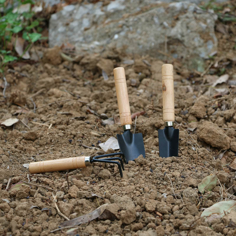 3Pcs/Set Mini Garden Tool Set  - Gardening Tools Wholesale reseña y precio