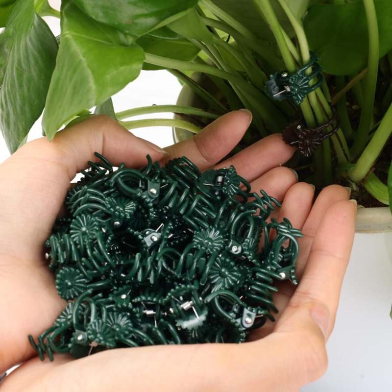Wholesale Mini Plant Support C - Gardening Tools Wholesale reseña y precio