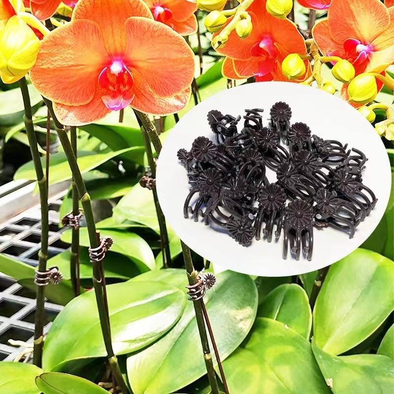 Wholesale Mini Plant Support C - Gardening Tools Wholesale reseña y precio