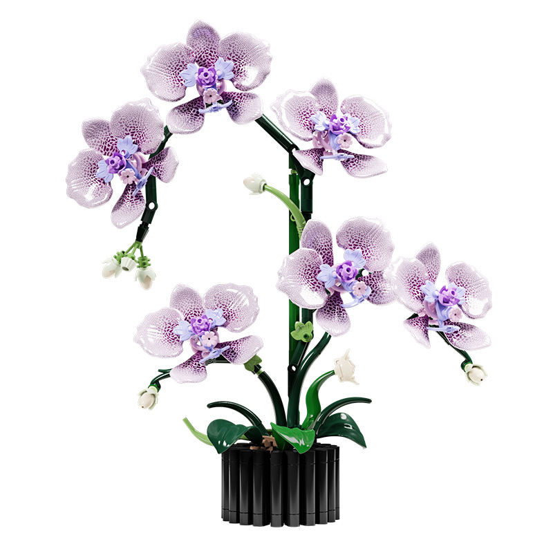 619PCS Phalaenopsis Building B - Orchid Potting Mix reseña y precio