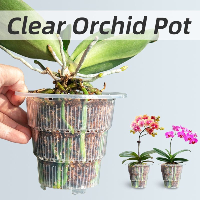 Meshpot Clear Plastic Orchid P - Orchid Potting Mix reseña y precio