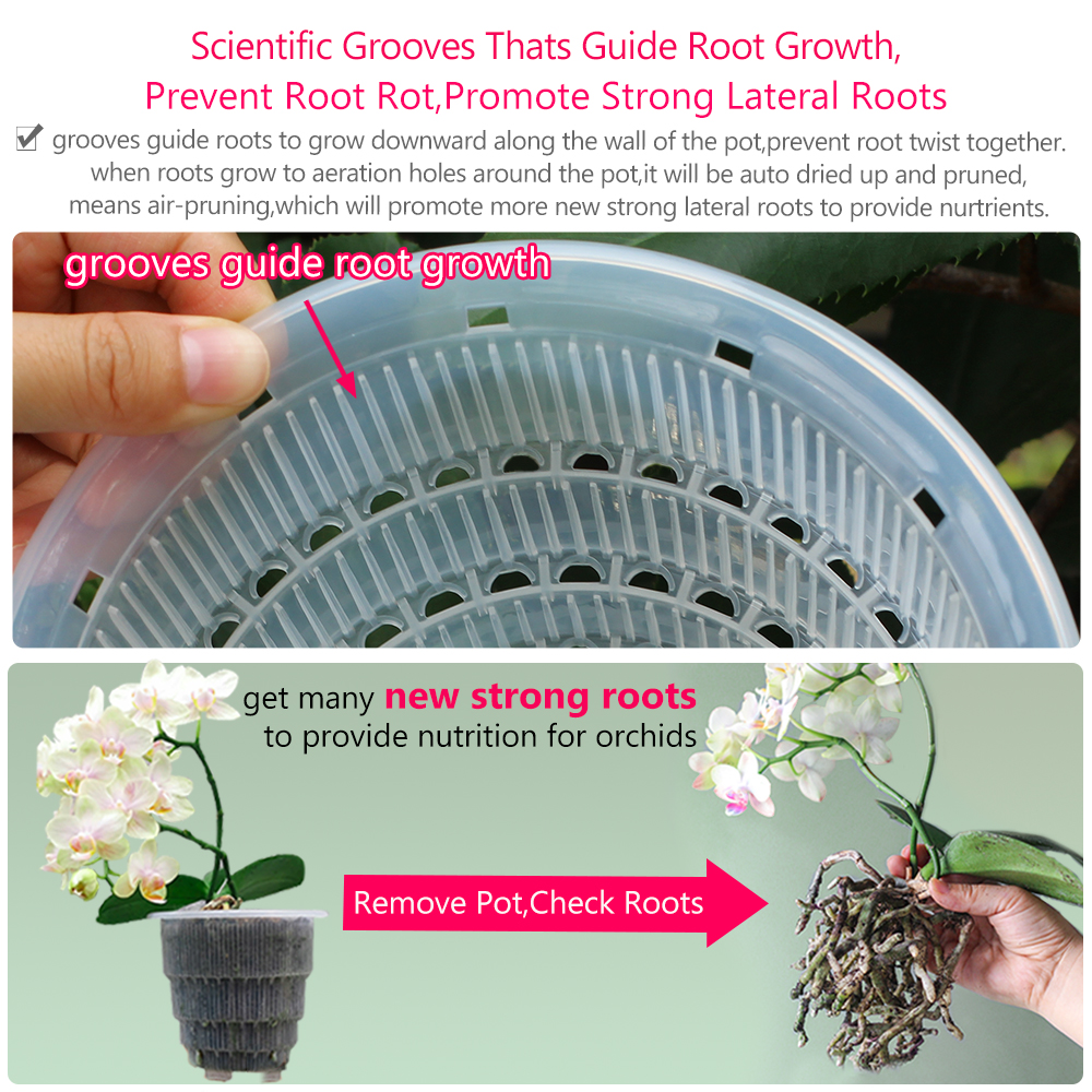Meshpot Clear Plastic Orchid P - Orchid Potting Mix reseña y precio
