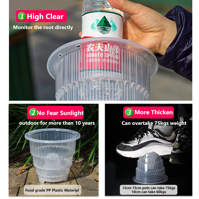 Meshpot Clear Plastic Orchid P - Orchid Potting Mix reseña y precio
