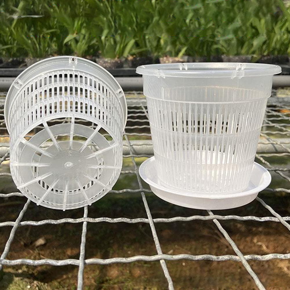 5pcs Orchid Pot With Saucers M - Orchid Potting Mix reseña y precio