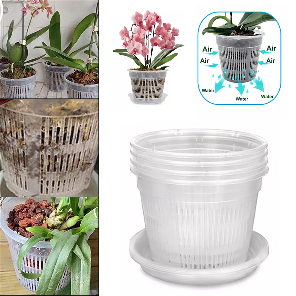 5pcs Orchid Pot With Saucers M - Orchid Potting Mix reseña y precio