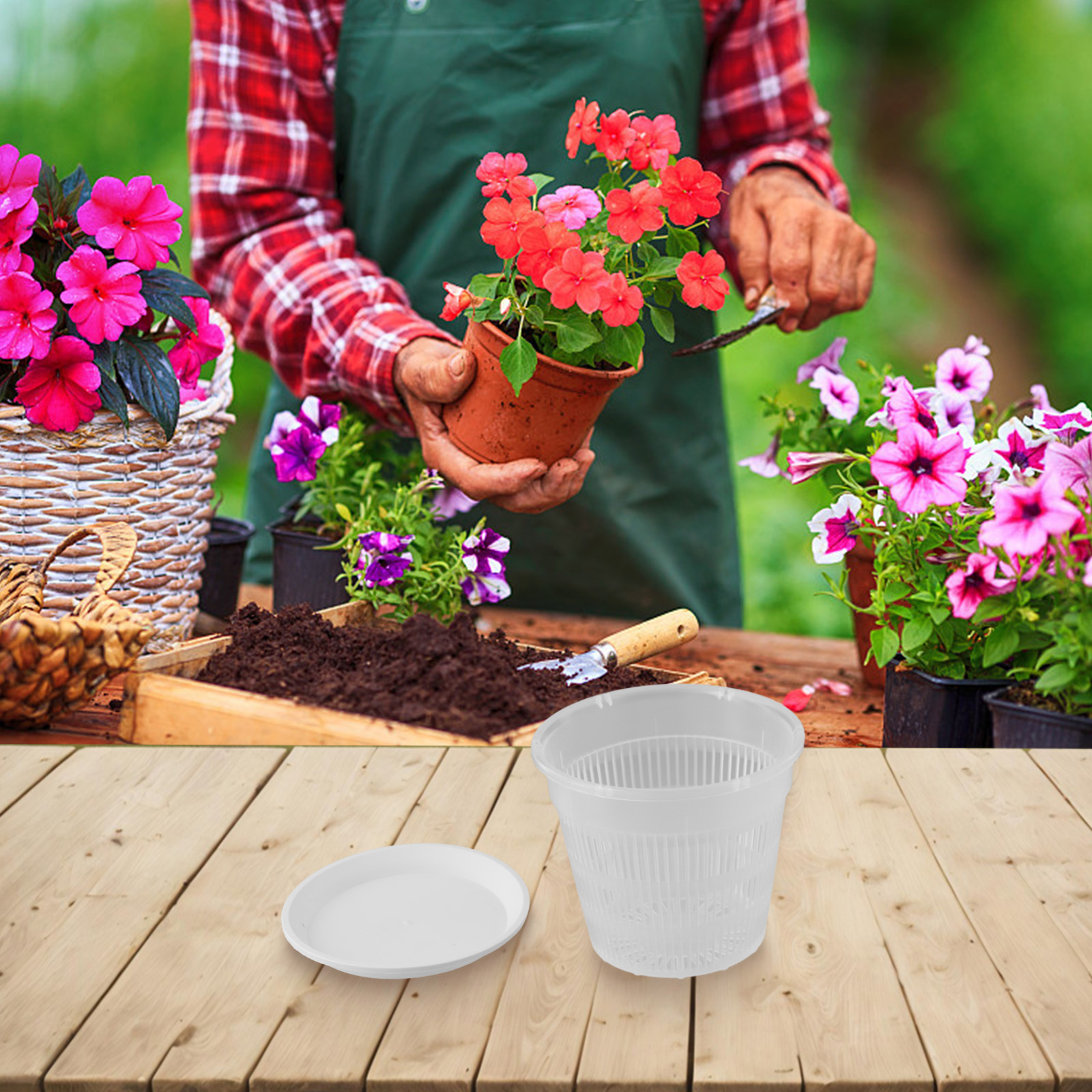 5pcs Orchid Pot With Saucers M - Orchid Potting Mix reseña y precio