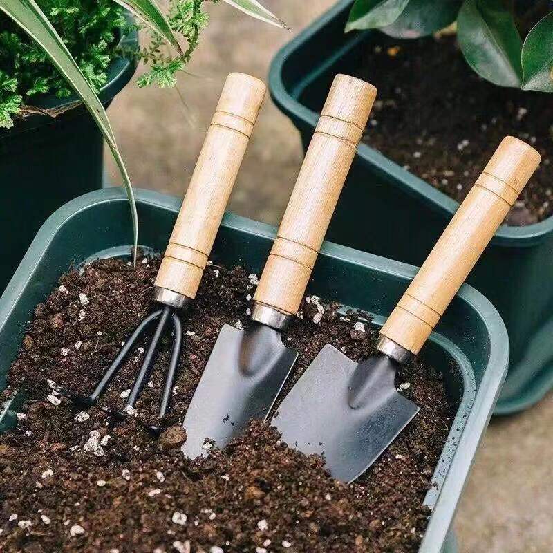 3Pcs Mini Gardening Tool Set w - Gardening Tools Rake reseña y precio