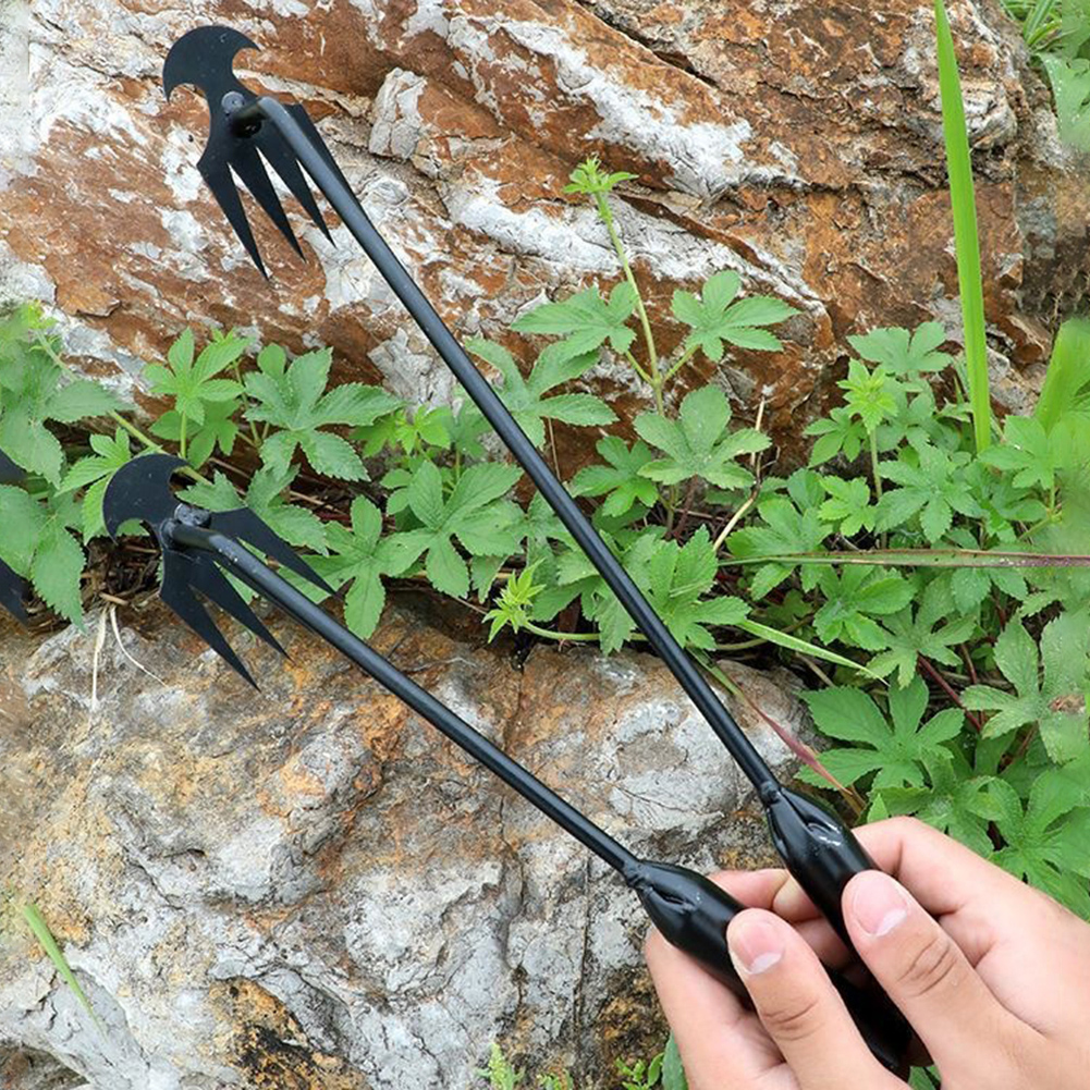 Garden Hoe Tool 2 in 1 Double  - Grass Seed Spreader reseña y precio