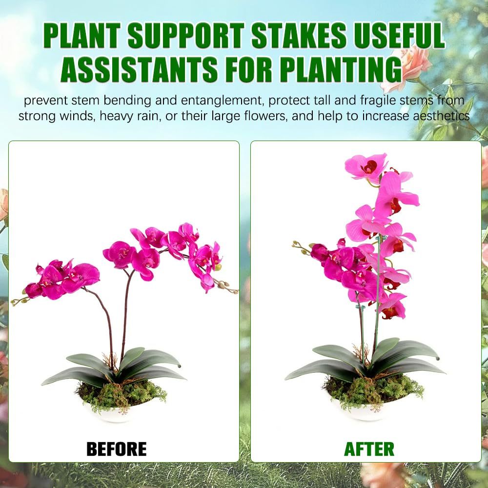 5/10PCS Plant Supports Stand B - Orchid Potting Mix reseña y precio