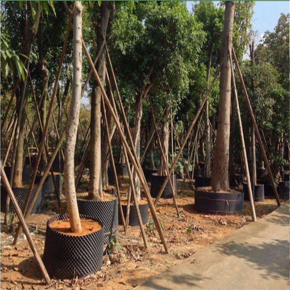 Grow Container Garden Tree Bon - Gardening Tools Of reseña y precio