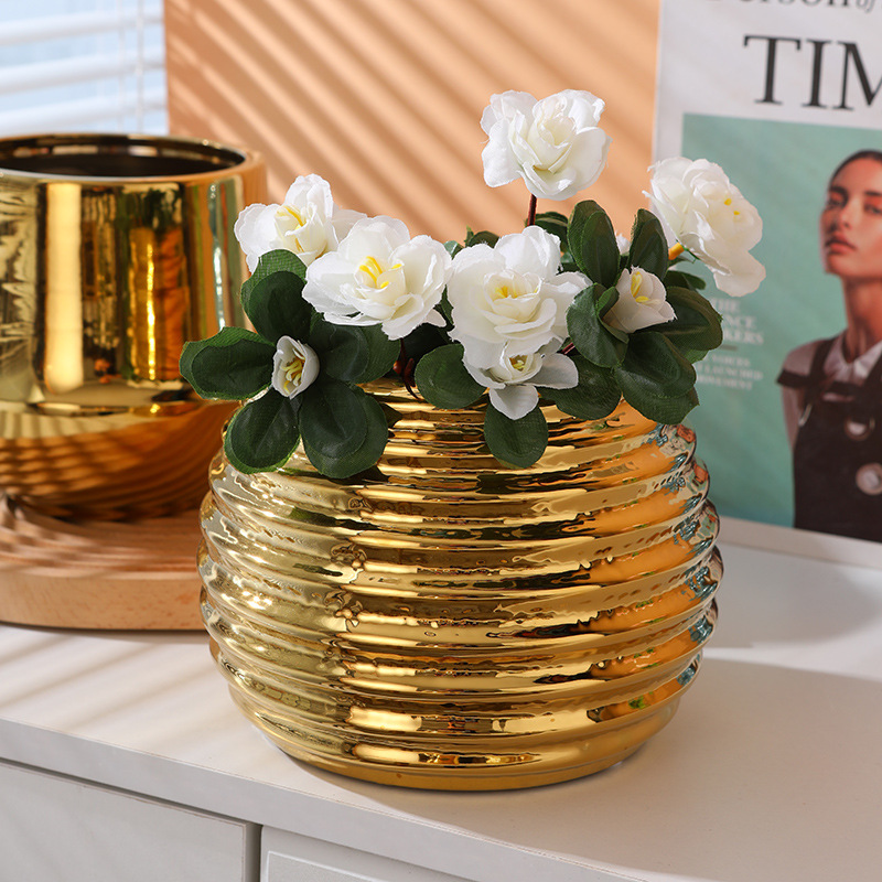 Office gold ceramic flower pot - Orchid Potting Mix reseña y precio