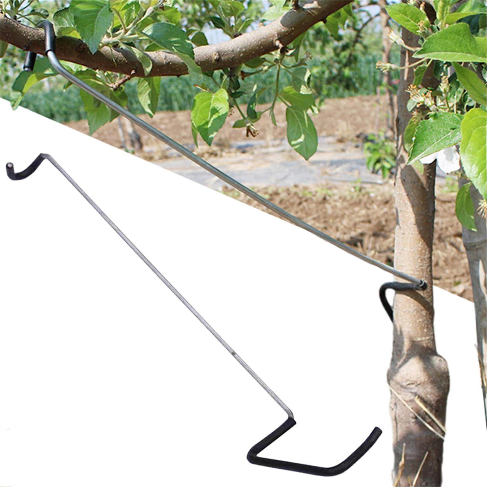 Fruit Tree Branch Spreader 10P - Gardening Tools Wholesale reseña y precio