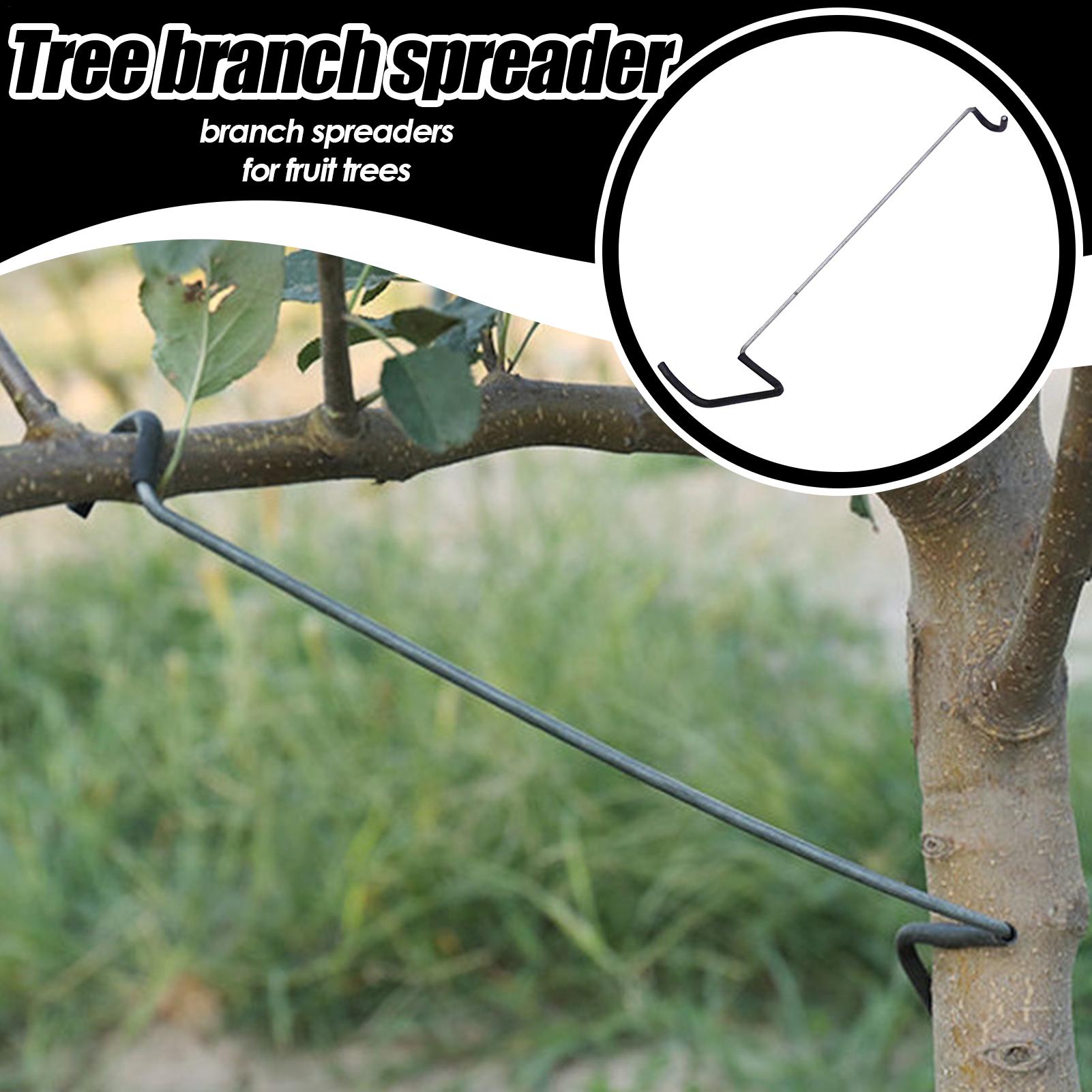 Fruit Tree Branch Spreader 10P - Gardening Tools Wholesale reseña y precio