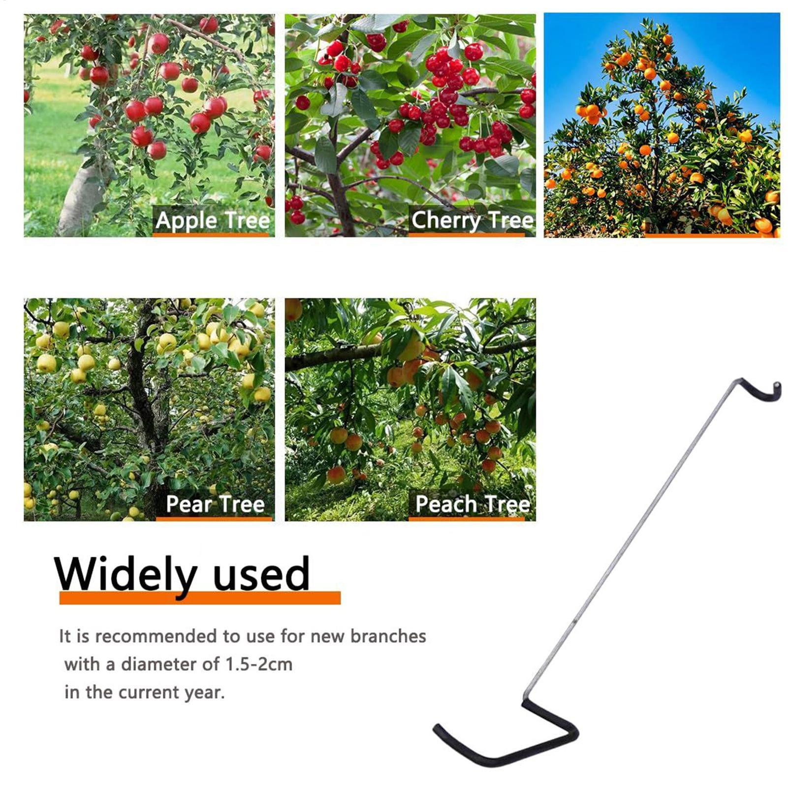 Fruit Tree Branch Spreader 10P - Gardening Tools Wholesale reseña y precio
