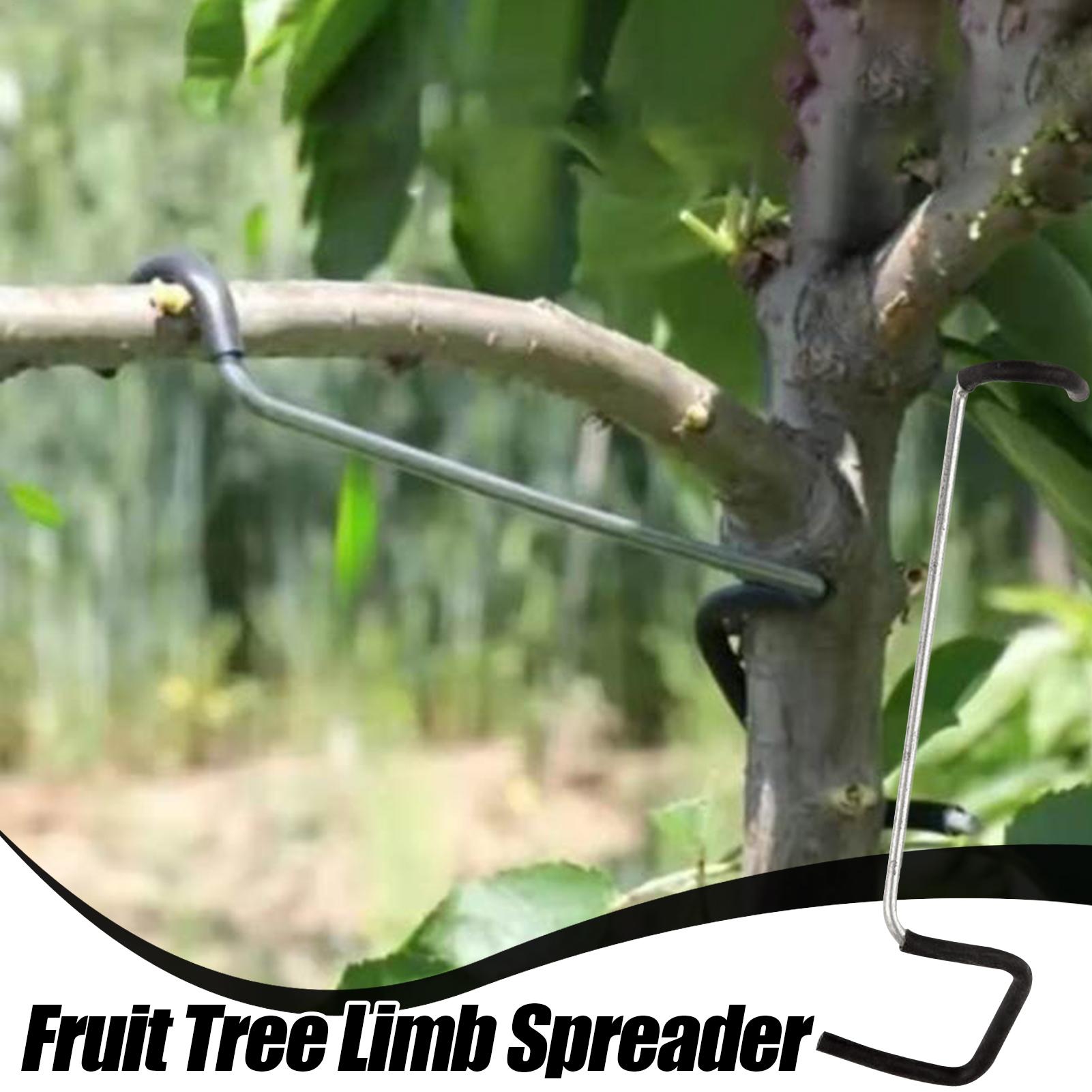 Fruit Tree Branch Spreader 10P - Gardening Tools Wholesale reseña y precio