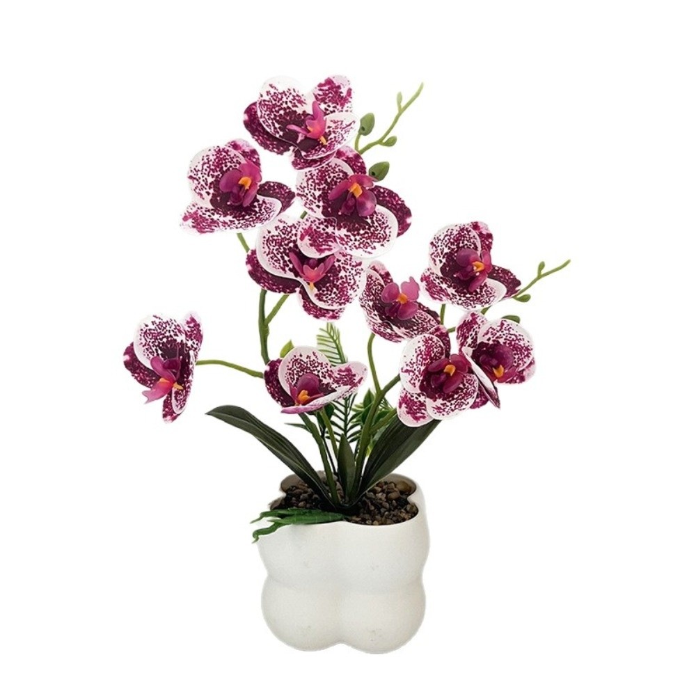 Multi-Bloom Simulated Butterfl - Orchid Potting Mix reseña y precio