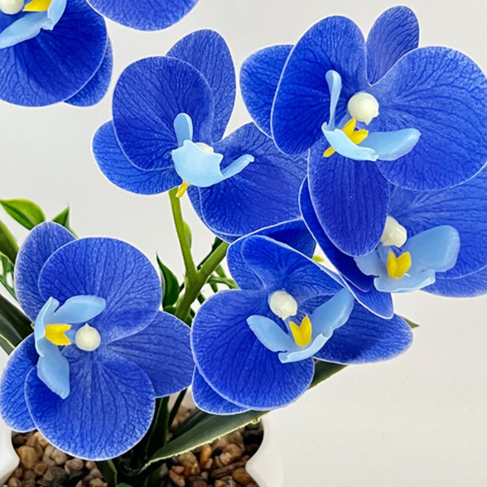 Multi-Bloom Simulated Butterfl - Orchid Potting Mix reseña y precio