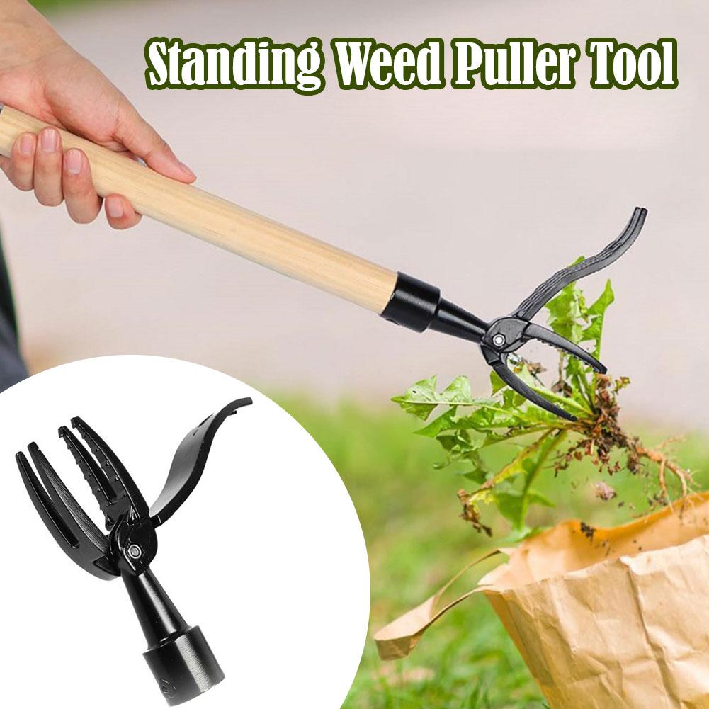 Weed Puller Claw Tool Engineer - Grass Seed Spreader reseña y precio