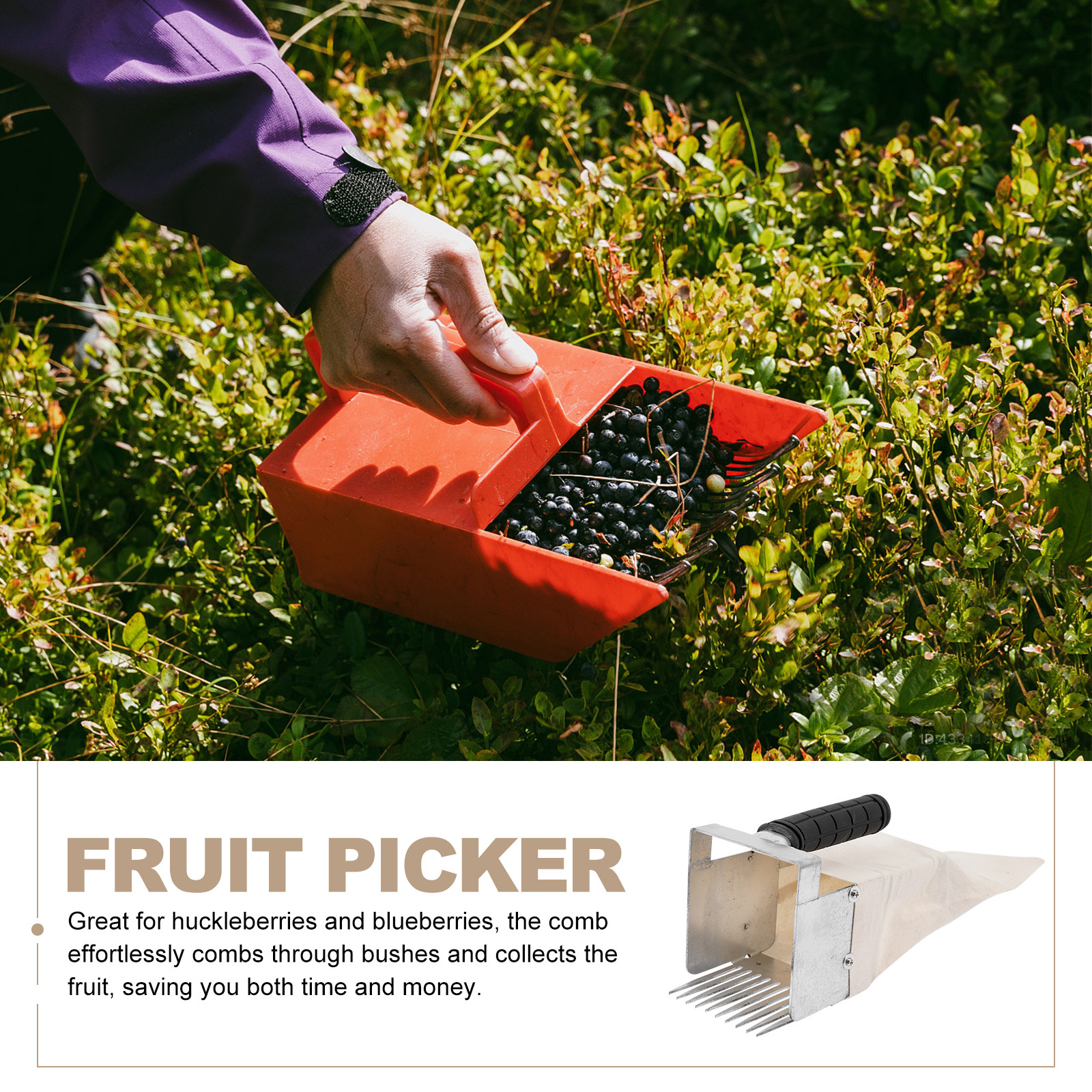 Berry Picker Portable Blueberr - Gardening Tools Rake reseña y precio