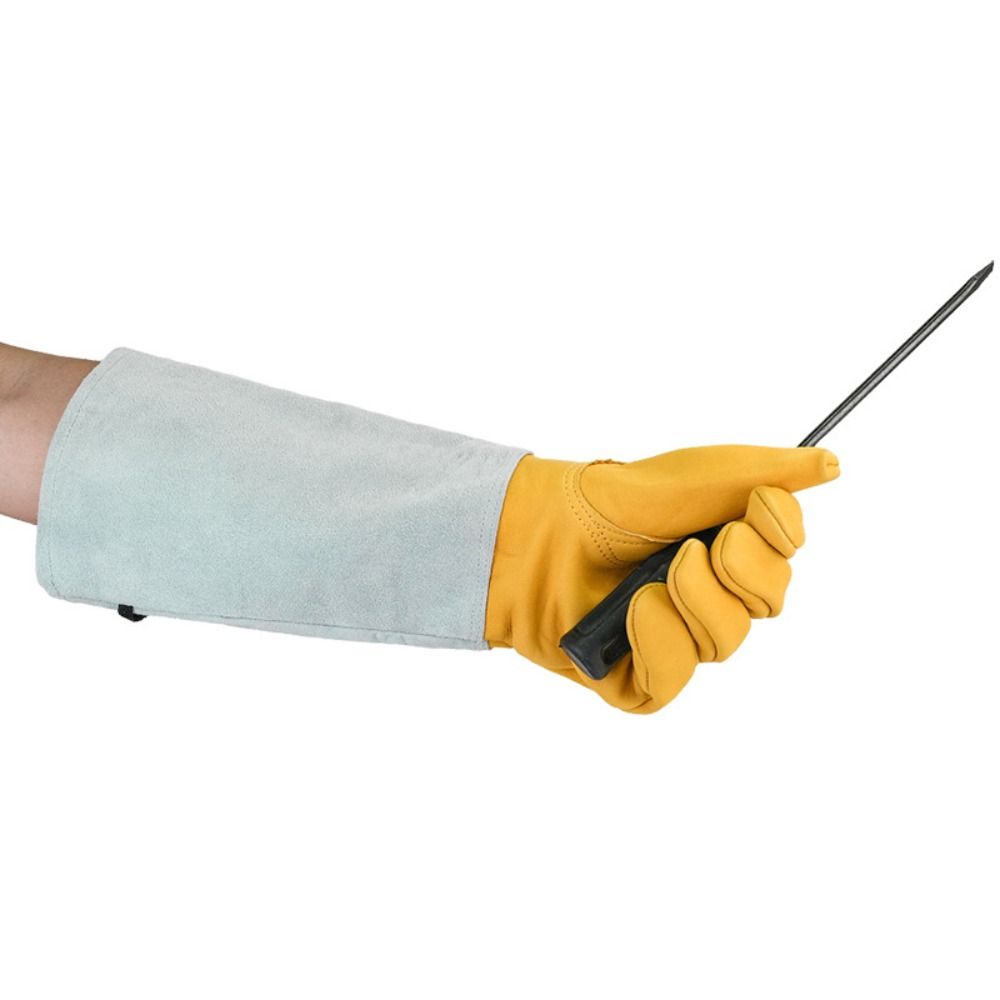 Long-sleeved Thorn Proof Garde - Garden Gloves Thorn Proof reseña y precio