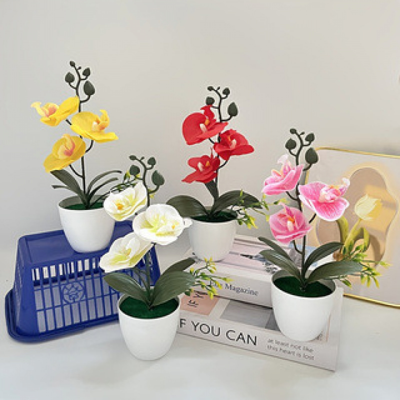 Butterfly orchid bonsai, artif - Orchid Potting Mix reseña y precio