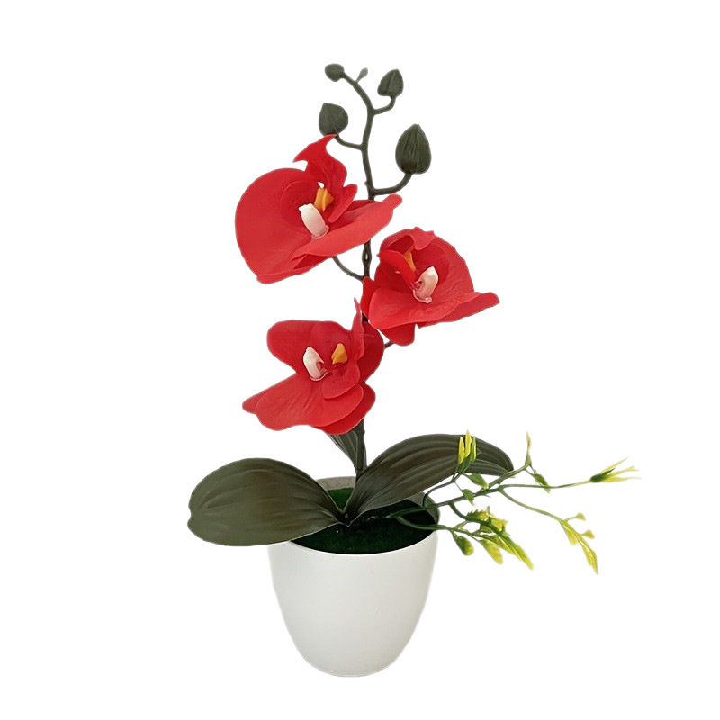 Butterfly orchid bonsai, artif - Orchid Potting Mix reseña y precio