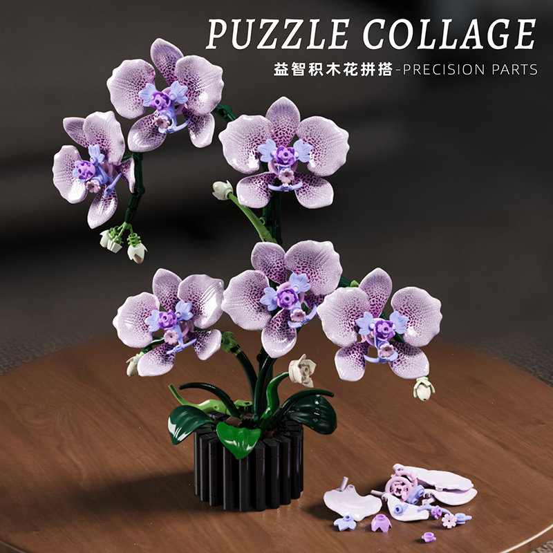 619PCS Phalaenopsis Building B - Orchid Potting Mix reseña y precio