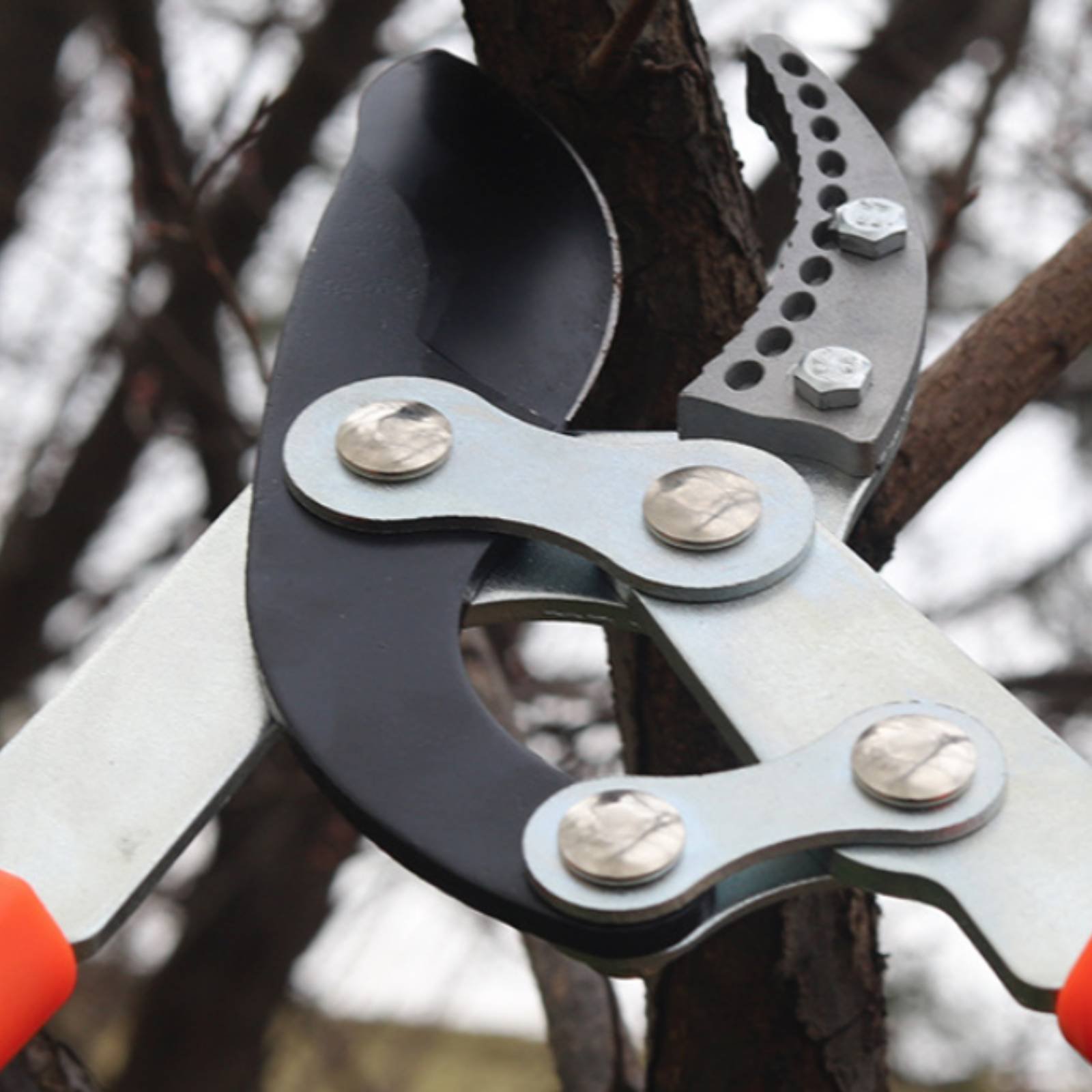 Telescopic Branch Pruners Shar - Gardening Tools Of reseña y precio